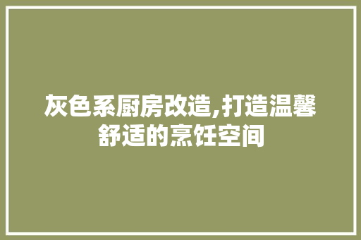 灰色系厨房改造,打造温馨舒适的烹饪空间 厨房维修