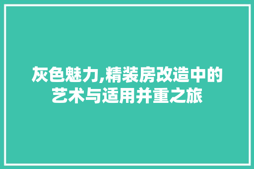 灰色魅力,精装房改造中的艺术与适用并重之旅