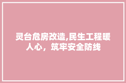 灵台危房改造,民生工程暖人心，筑牢安全防线