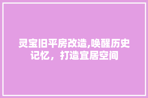 灵宝旧平房改造,唤醒历史记忆，打造宜居空间