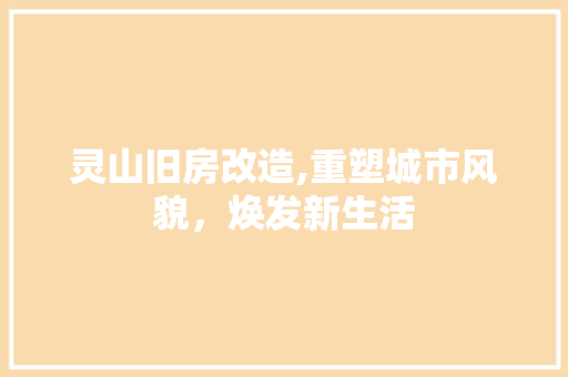 灵山旧房改造,重塑城市风貌，焕发新生活 综合便民