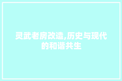 灵武老房改造,历史与现代的和谐共生