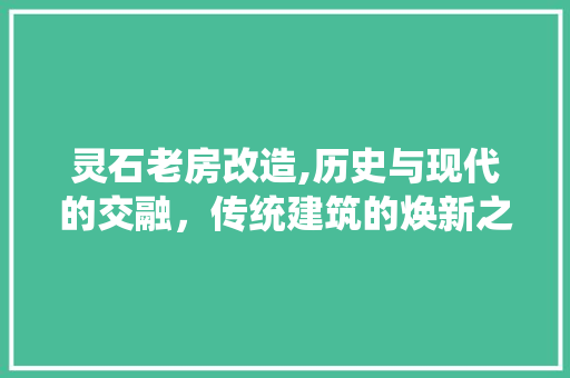 灵石老房改造,历史与现代的交融，传统建筑的焕新之旅 厨房维修