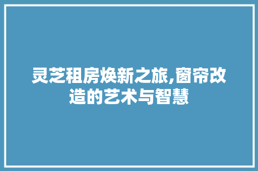 灵芝租房焕新之旅,窗帘改造的艺术与智慧 厨房维修