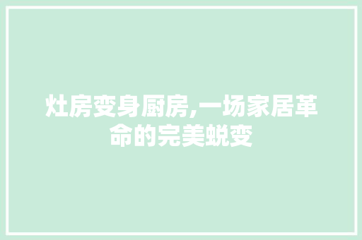 灶房变身厨房,一场家居革命的完美蜕变 家电维修