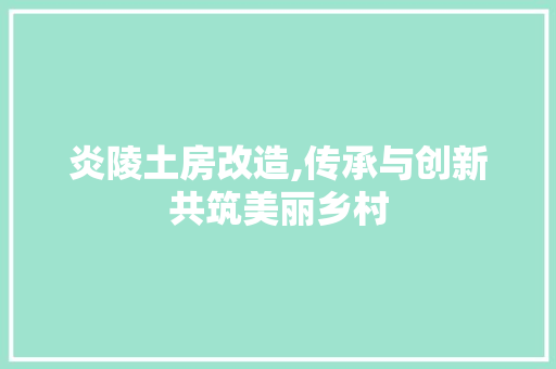 炎陵土房改造,传承与创新共筑美丽乡村 墙体维修