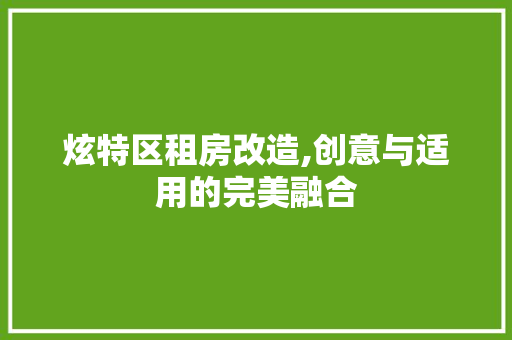 炫特区租房改造,创意与适用的完美融合