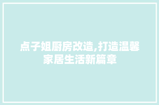 点子姐厨房改造,打造温馨家居生活新篇章