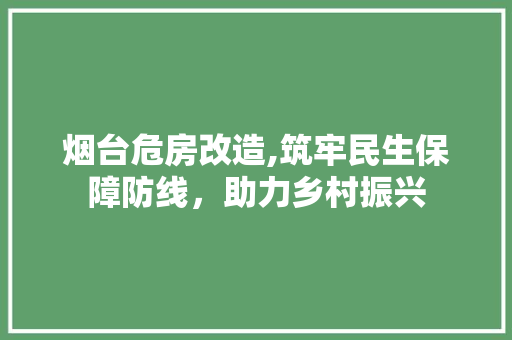 烟台危房改造,筑牢民生保障防线，助力乡村振兴