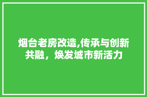 烟台老房改造,传承与创新共融，焕发城市新活力