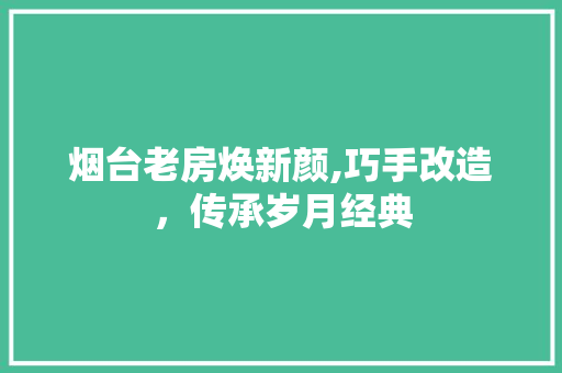 烟台老房焕新颜,巧手改造，传承岁月经典