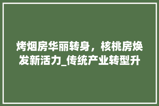 烤烟房华丽转身，核桃房焕发新活力_传统产业转型升级之路 汽车维修