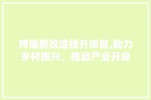 烤烟房改造提升项目,助力乡村振兴，推动产业升级 综合便民