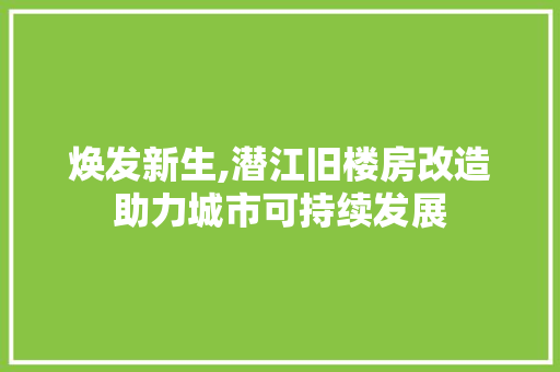 焕发新生,潜江旧楼房改造助力城市可持续发展 汽车维修