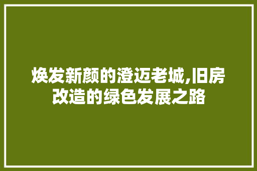 焕发新颜的澄迈老城,旧房改造的绿色发展之路