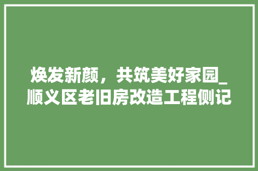 焕发新颜，共筑美好家园_顺义区老旧房改造工程侧记