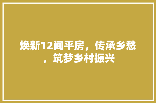 焕新12间平房，传承乡愁，筑梦乡村振兴 厨房维修