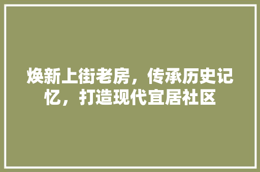 焕新上街老房，传承历史记忆，打造现代宜居社区