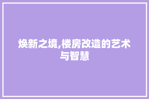焕新之境,楼房改造的艺术与智慧