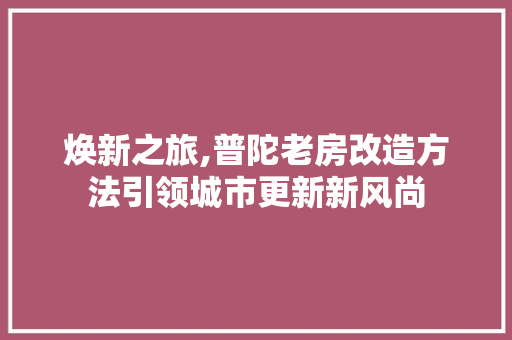 焕新之旅,普陀老房改造方法引领城市更新新风尚