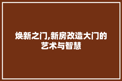 焕新之门,新房改造大门的艺术与智慧 家电维修