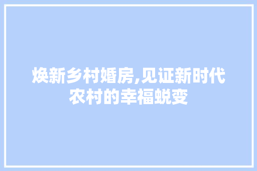 焕新乡村婚房,见证新时代农村的幸福蜕变