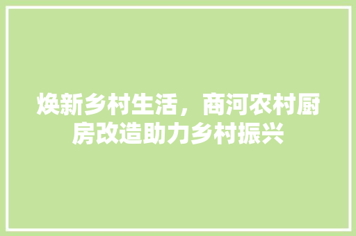 焕新乡村生活，商河农村厨房改造助力乡村振兴