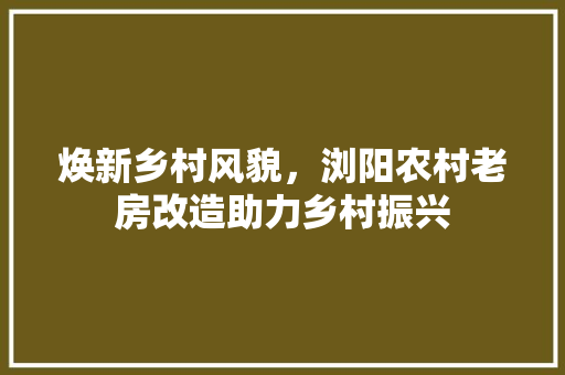 焕新乡村风貌，浏阳农村老房改造助力乡村振兴