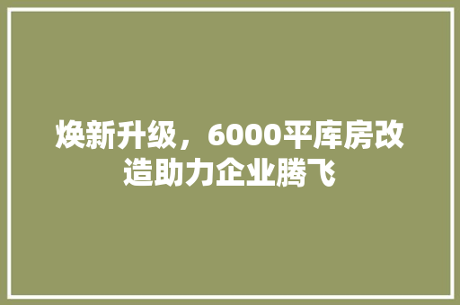 焕新升级，6000平库房改造助力企业腾飞 汽车维修