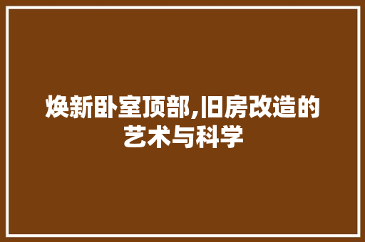 焕新卧室顶部,旧房改造的艺术与科学 汽车维修