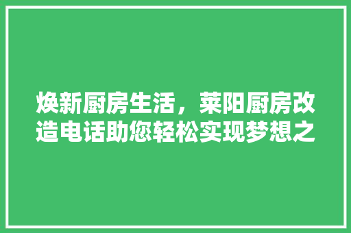 焕新厨房生活，莱阳厨房改造电话助您轻松实现梦想之家 家电维修