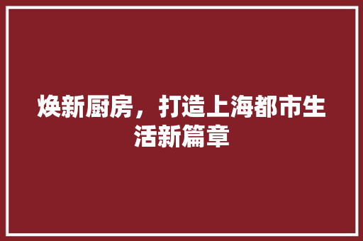 焕新厨房，打造上海都市生活新篇章
