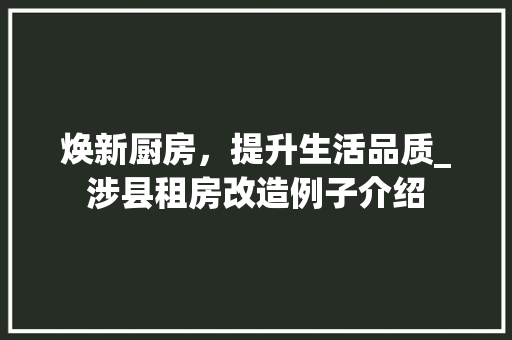 焕新厨房，提升生活品质_涉县租房改造例子介绍