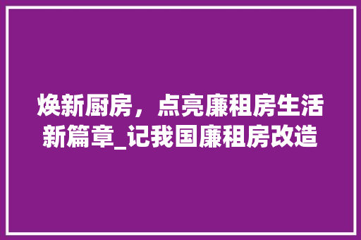 焕新厨房，点亮廉租房生活新篇章_记我国廉租房改造工程中的亮点方法