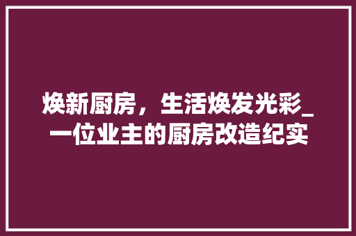焕新厨房，生活焕发光彩_一位业主的厨房改造纪实