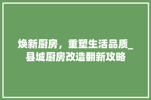 焕新厨房，重塑生活品质_县城厨房改造翻新攻略 家电维修