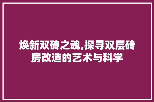 焕新双砖之魂,探寻双层砖房改造的艺术与科学 家电维修
