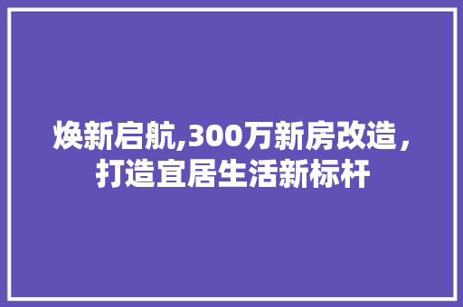 焕新启航,300万新房改造，打造宜居生活新标杆