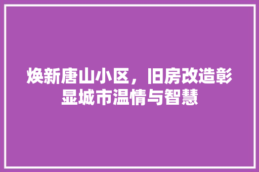 焕新唐山小区，旧房改造彰显城市温情与智慧 综合便民