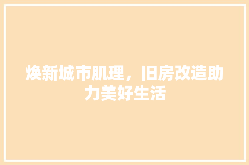焕新城市肌理，旧房改造助力美好生活