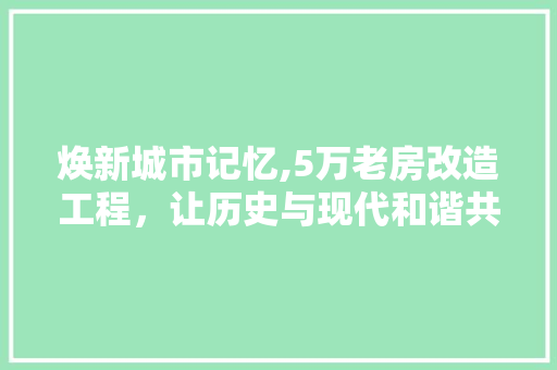 焕新城市记忆,5万老房改造工程，让历史与现代和谐共生