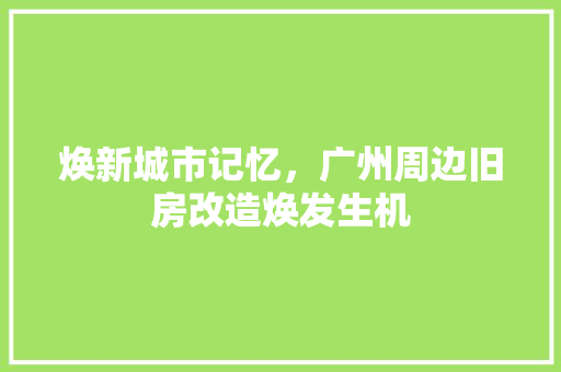 焕新城市记忆，广州周边旧房改造焕发生机