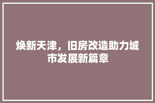 焕新天津，旧房改造助力城市发展新篇章 墙体维修