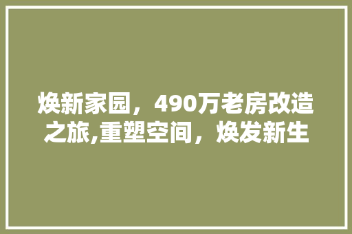 焕新家园，490万老房改造之旅,重塑空间，焕发新生活