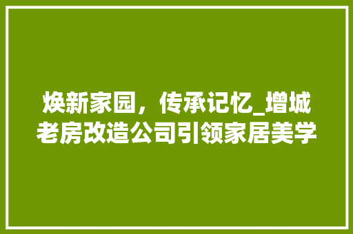 焕新家园，传承记忆_增城老房改造公司引领家居美学新风尚