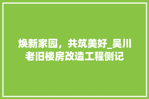 焕新家园，共筑美好_吴川老旧楼房改造工程侧记