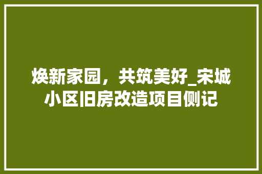 焕新家园，共筑美好_宋城小区旧房改造项目侧记 汽车维修