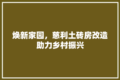 焕新家园，慈利土砖房改造助力乡村振兴