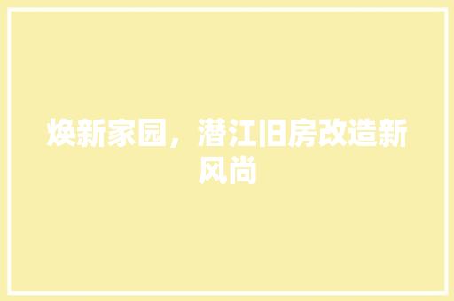 焕新家园，潜江旧房改造新风尚