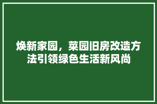 焕新家园，菜园旧房改造方法引领绿色生活新风尚